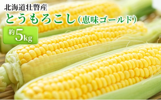 ＜2026年8月上旬より順次お届け＞北海道壮瞥産 とうもろこし（恵味ゴールド）約5kg SBTA001