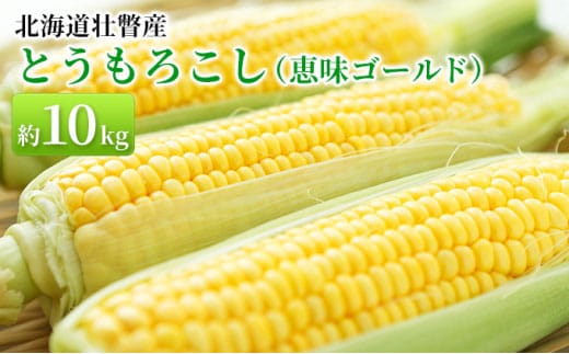 ＜2026年8月上旬より順次お届け＞北海道壮瞥産 とうもろこし（恵味ゴールド）約10kg SBTA032