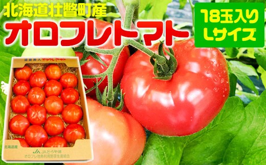 ＜2026年3月上旬より順次お届け＞北海道壮瞥産 オロフレトマト18玉入り（Lサイズ） SBTA029