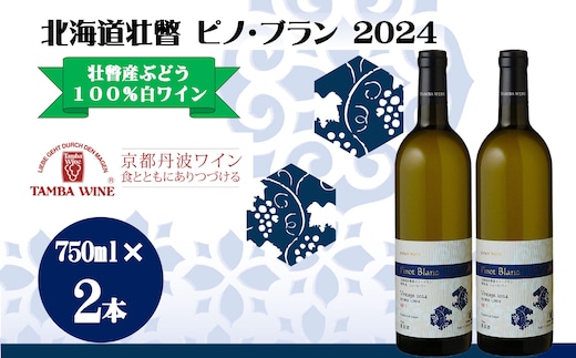 北海道壮瞥産 ピノ・ブラン2024(辛口白ワイン) 750ml×2本 SBTA085