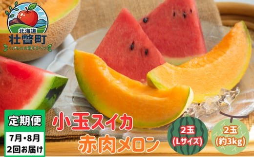 【先行予約】【定期便2回】赤肉メロン2玉＋小玉スイカ2玉 旬のフルーツ定期便<7月下旬・8月上旬お届け> SBTN011