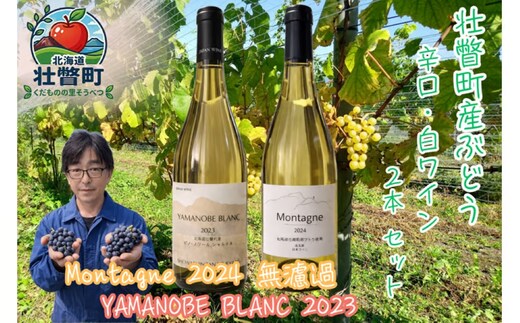 昭和新山ワイン YAMANOBE BLANC 2023(ヤマノベブラン）とMontagne 2024 無濾過(モンターニュ） の各１本セット 白ワイン 辛口 壮瞥町産ぶどう100% SBTQ014