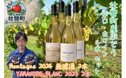 昭和新山ワイン YAMANOBE BLANC 2023(ヤマノベブラン）とMontagne 2024 無濾過(モンターニュ） の各２本セット 白ワイン 辛口 壮瞥町産ぶどう100% SBTQ015