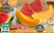 【先行予約】【定期便2回】赤肉メロン2玉＋小玉スイカ2玉 旬のフルーツ定期便<7月下旬・8月上旬お届け> SBTN011