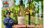 昭和新山ワイン　YAMANOBE BLANC 2023(ヤマノベブラン）白ワイン 辛口 壮瞥町産ぶどう100% SBTQ012
