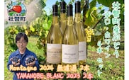昭和新山ワイン　YAMANOBE BLANC 2023(ヤマノベブラン）とMontagne 2024 無濾過(モンターニュ） の各２本セット 白ワイン 辛口 壮瞥町産ぶどう100% SBTQ015