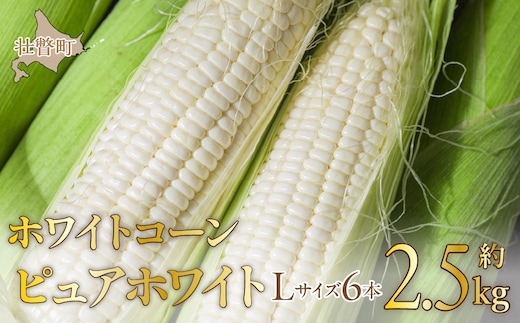 ＜2026年8月中旬よりお届け＞【朝採り】北海道壮瞥町産 ホワイトコーン「ピュアホワイト」Lサイズ以上6本（約2.5kg） SBTQ004