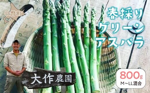 ＜2026年4月上旬よりお届け＞【朝採り】北海道壮瞥町産 春採りグリーンアスパラM～LL混合 約800g SBTR005