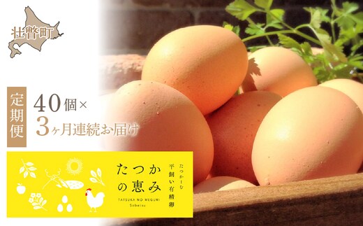 平飼い有精卵『たつかの恵み』40個×3ヶ月連続お届け SBTT002