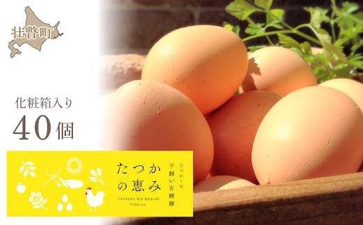 平飼い有精卵『たつかの恵み』 SBTT011