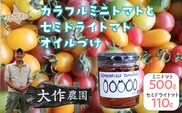 ＜2026年7月上旬よりお届け＞北海道壮瞥産 大作農園の「カラフルミニトマト」約500g（5種以上）とセミドライトマトオイル漬け1瓶（110g）のセット SBTR008
