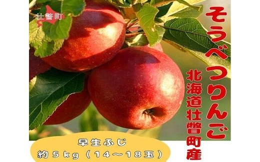 【先行予約】 早生ふじ 約5kg <2026年10月中旬頃～発送予定> SBTB012