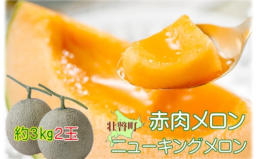 ＜2026年7月下旬よりお届け＞北海道壮瞥産 赤肉メロン（ニューキングメロン）2玉 約3kg SBTN003