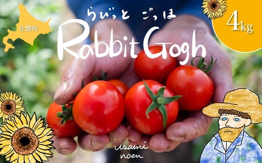 【2026年予約】極旨トマトクール便 北海道壮瞥町産 ラビットゴッホ4kg 中玉トマト SBTAJ005