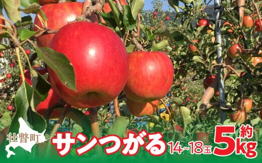 【先行予約】北海道壮瞥町産りんご「サンつがる」約5kg(14～18玉)<2026年9月下旬よりお届け> SBTF010