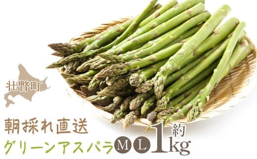 ＜2026年5月中・下旬よりお届け＞北海道壮瞥産「ファーム横山」朝採れ直送 グリーンアスパラ約1kg（M・L混合） SBTM001