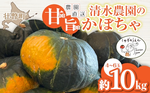 ＜2026年9月初旬よりお届け＞【農園直送】清水農園のかぼちゃ(甘旨）約10kg (4～6玉) SBTO013