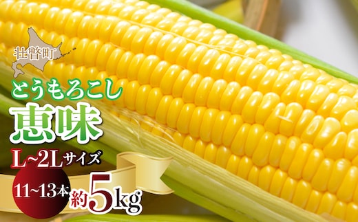 ＜2026年8月初旬よりお届け＞約5kg！北海道壮瞥産とうもろこし（恵味）【Ｌ～2Lサイズ 11～13本】 SBTP002