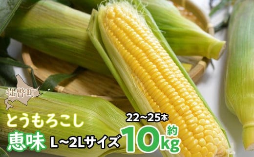 ＜2026年8月初旬よりお届け＞約10kg！北海道壮瞥産とうもろこし（恵味）【Ｌ～2Lサイズ 22～25本】 SBTP006