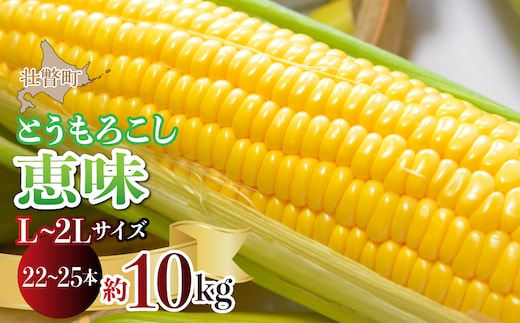 ＜2026年8月初旬よりお届け＞約10kg！北海道壮瞥産とうもろこし（恵味）【Ｌ～2Lサイズ 22～25本】 SBTP006