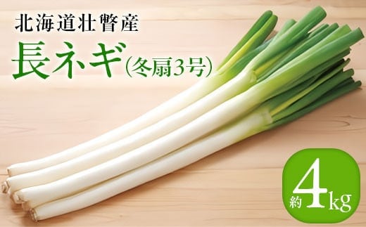 ＜2025年12月20日頃よりお届け＞長ネギ（冬扇3号）約4kg SBTP012