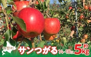 【先行予約】北海道壮瞥町産りんご「サンつがる」約5kg(14～18玉)<2026年9月下旬よりお届け> SBTF010