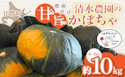 ＜2026年9月初旬よりお届け＞【農園直送】清水農園のかぼちゃ(甘旨）約10kg (4～6玉) SBTO013