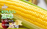 ＜2026年8月初旬よりお届け＞約5kg！北海道壮瞥産とうもろこし（恵味）【Ｌ～2Lサイズ 11～13本】 SBTP002