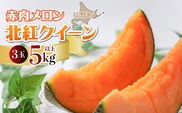 ＜2026年7月上旬よりお届け＞北海道壮瞥産 赤肉メロン「北紅クイーン」3玉入り 約5kg以上 SBTP005
