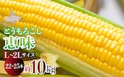 ＜2026年8月初旬よりお届け＞約10kg！北海道壮瞥産とうもろこし（恵味）【Ｌ～2Lサイズ 22～25本】 SBTP006