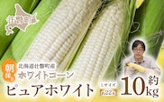 ＜2026年8月中旬よりお届け＞【朝採り】北海道壮瞥町　ホワイトコーン「ピュアホワイト」Lサイズ以上22本（約10kg） SBTQ002