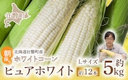 ＜2026年8月中旬よりお届け＞【朝採り】北海道壮瞥町 ホワイトコーン「ピュアホワイト」Lサイズ以上12本(約5kg) SBTQ003