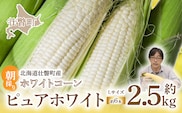 ＜2026年8月中旬よりお届け＞【朝採り】北海道壮瞥町産　ホワイトコーン「ピュアホワイト」Lサイズ以上6本（約2.5kg） SBTQ004