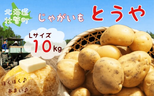 ＜2026年9月下旬よりお届け＞北海道壮瞥町産じゃがいも（とうや）Lサイズ約10kg SBTN005