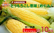 ＜2026年8月下旬よりお届け＞【朝採り】北海道壮瞥町産　とうもろこし恵味（めぐみ）Lサイズ以上約10kg（22～25本） SBTL013