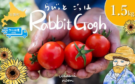 【2026年予約】極旨トマトクール便 北海道壮瞥町産 ラビットゴッホ1.5kg 中玉トマト SBTAJ002
