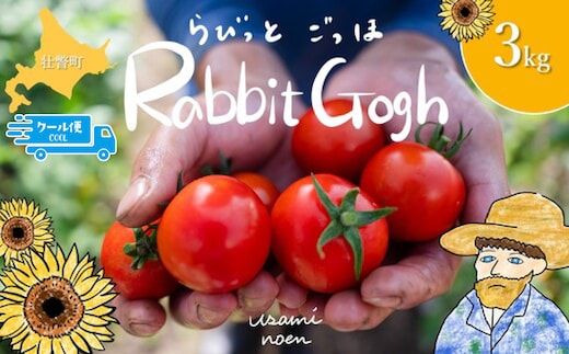【2026年予約】極旨トマトクール便 北海道壮瞥町産 ラビットゴッホ3kg 中玉トマト SBTAJ004