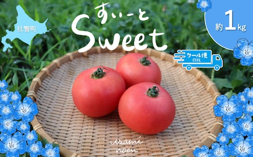 【2026年予約】極旨トマトクール便 北海道壮瞥町産 スイート1kg 中玉トマト SBTAJ016