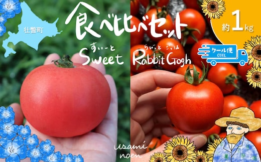 【2026年予約】極旨トマトクール便 食べ比べ2種セット 北海道壮瞥町産 スイート＆ラビットゴッホ 1kg 中玉トマト SBTAJ026