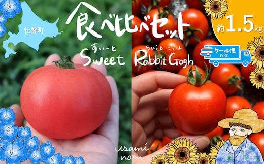 【2026年予約】極旨トマトクール便 食べ比べ2種セット 北海道壮瞥町産 スイート＆ラビットゴッホ 1.5kg 中玉トマト SBTAJ027