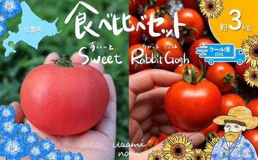 【2026年予約】極旨トマトクール便 食べ比べ2種セット 北海道壮瞥町産 スイート＆ラビットゴッホ 3kg 中玉トマト SBTAJ029