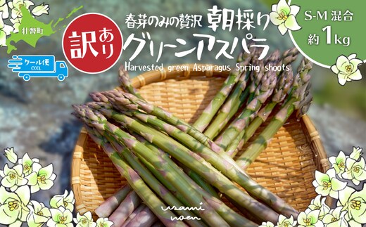 【2026年予約】【訳あり】朝採りグリーンアスパラ（春芽）S-M混合 約1kg 北海道壮瞥町産 SBTAJ038