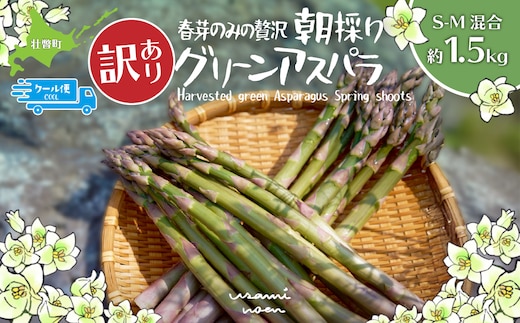【2026年予約】【訳あり】朝採りグリーンアスパラ（春芽）S-M混合 約1.5kg 北海道壮瞥町産 SBTAJ039