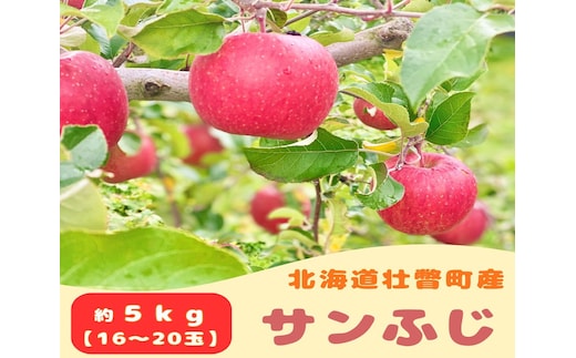 ファームアグリエイトのりんご「サンふじ」約5kg（16～20玉） SBTB015