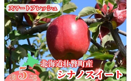 3・4月発送！ファームアグリエイトのりんご「シナノスイート」 約5kg（18～20玉）【スマートフレッシュ】 SBTB017