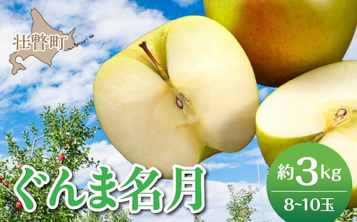 【先行予約】北海道壮瞥町産りんご「ぐんま名月」約3kg(8～10玉)<2026年11月中旬よりお届け> SBTF004
