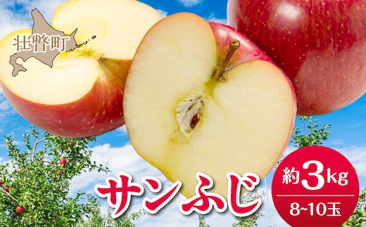 【先行予約】北海道壮瞥町産りんご「サンふじ」約3kg(8～10玉)<2026年12月上旬にお届け> SBTF006
