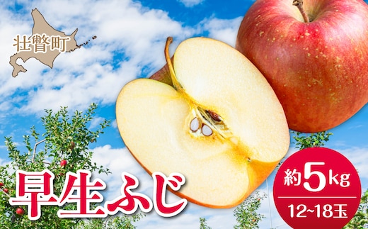 【先行予約】北海道壮瞥町産りんご「早生ふじ」約5kg(12～18玉)<2026年10月中旬よりお届け> SBTF009