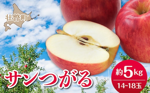 【先行予約】北海道壮瞥町産りんご「サンつがる」約5kg(14～18玉)<2026年9月下旬よりお届け> SBTF010