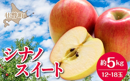 【先行予約】北海道壮瞥町産りんご「シナノスイート」約5kg(12～18玉)<2026年10月下旬よりお届け> SBTF012